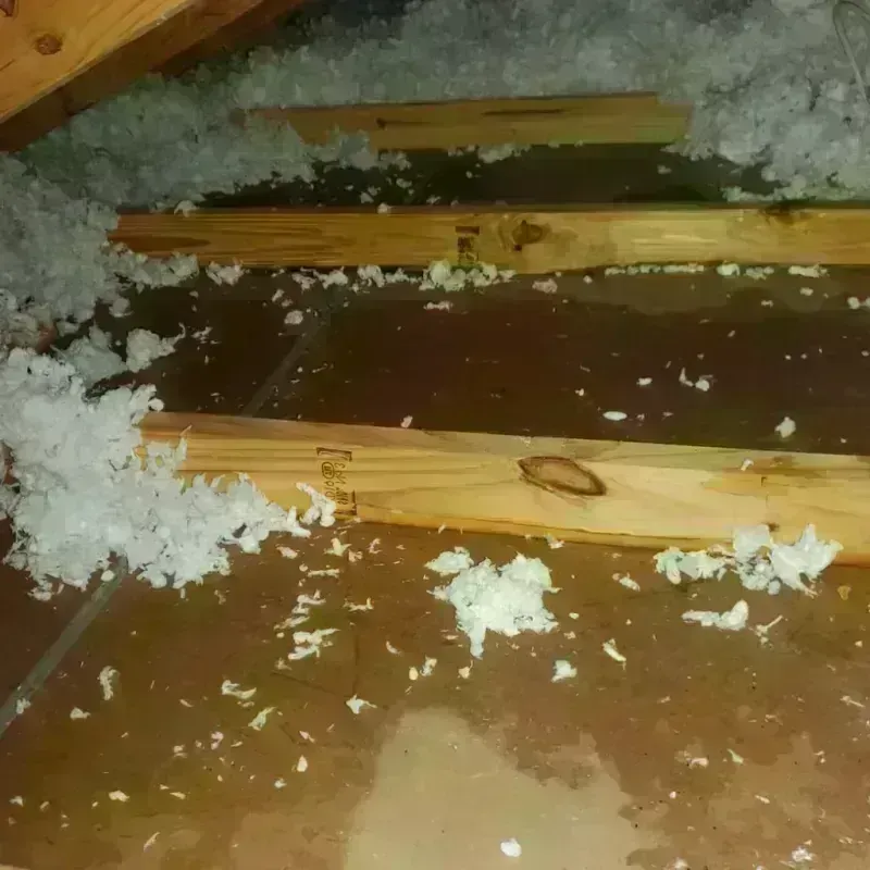 Attic Water Damage in Fort Thompson, SD