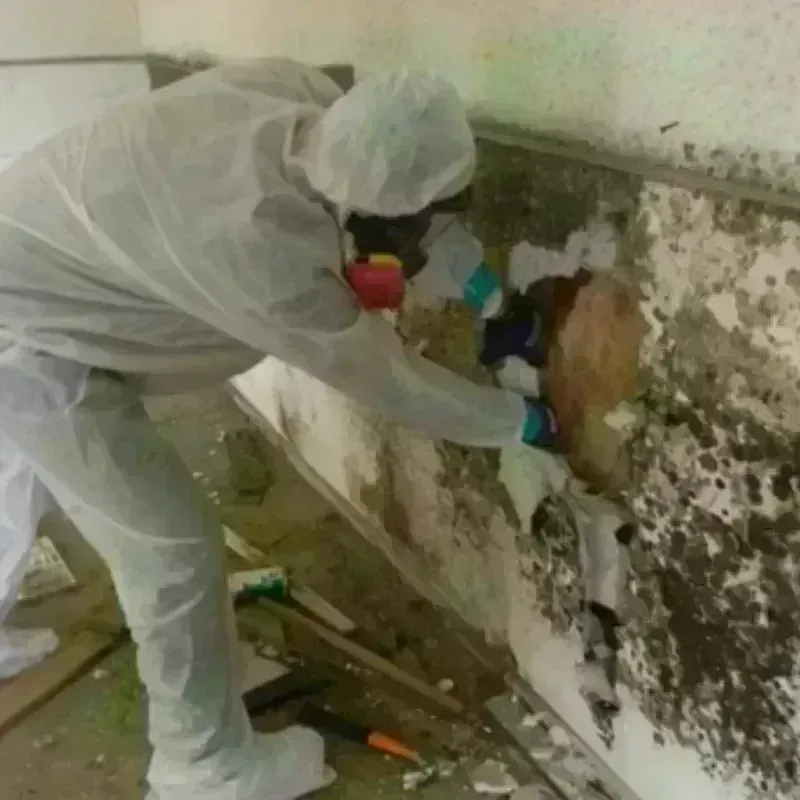 Mold Remediation and Removal in Fort Thompson, SD